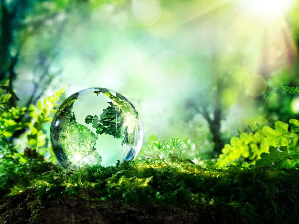 un globe en cristal représentant la planète Terre au milieu de la nature